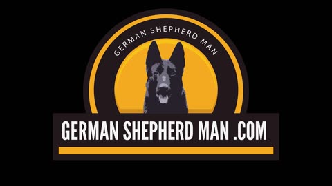 Are Dog Parks a good thing With German Shepherd Man