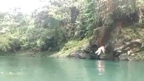 Girl slips off rock and falls into water
