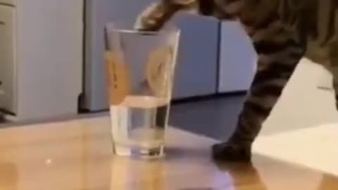 TRY NOT TO LAUGH_how to drink water from glass _ Funny Videos