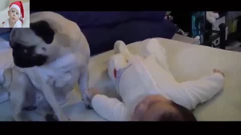 The sweetest dogs & babies ever