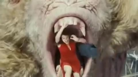 Very interesting King Kong animal video