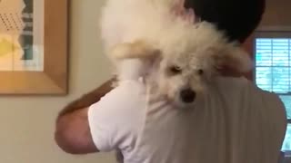 Slow motion guy throws white dog and catches