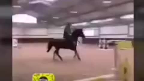 Hhhhh 😜 very funny horse 🐴