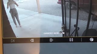 FedEx Driver Takes Dog From Property and Drives Off