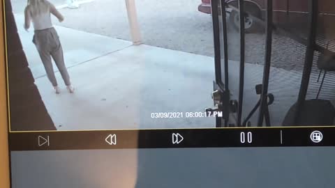 FedEx Driver Takes Dog From Property and Drives Off