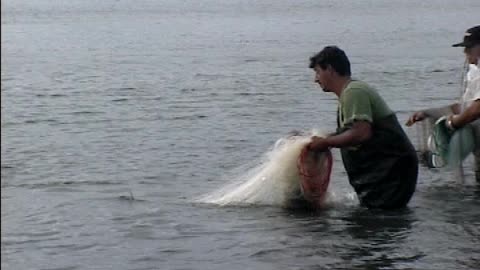 Dolphin/Fishermen Cooperation in Laguna, Brazil