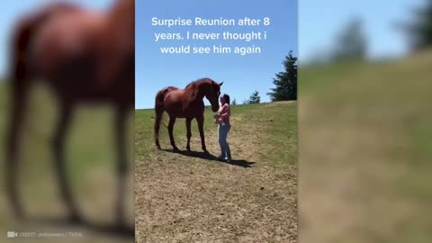 Animals Reunited with Owners After years