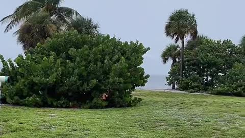 Livestream Clip 2- Hurricane Ian Arrives On Sanibel Causeway!