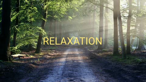 RELAXATION | ЗВУКИ ЛЕСА