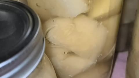 Tater Processing In Slo Mo