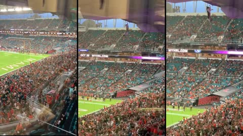 Stray cat saved by the U.S Flag at Miami Hard Rock Football Match