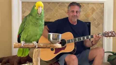 Bird and Man singing songs