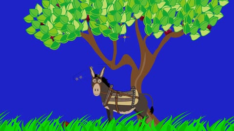 Donkey panic want to run Hahahaha