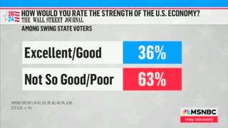 Bidenomics Bloodbath: Polling Panic On MSNBC As Biden Tanks On The Economy