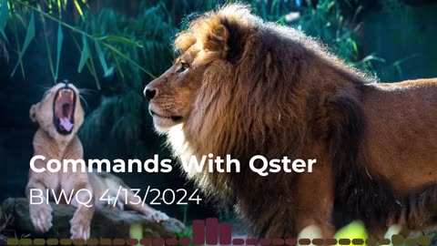 Commands With Qster 4/13/2024