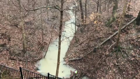 January 11, 2020 - Rain Swells The Creek Behind My House
