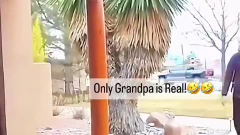 Funny kids "only grandpa"