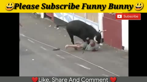 Funny crazy bull fails