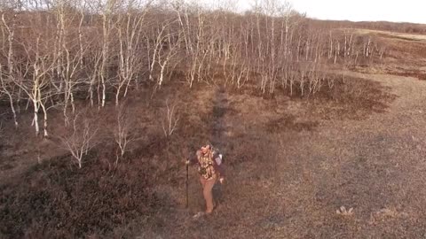 Shed Hunting in Canada