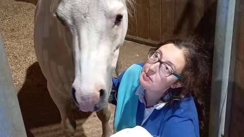 Introducing the Horses to New Baby