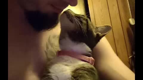 Adorable Kitty Gooey Gumdrop Loves Her Daddy