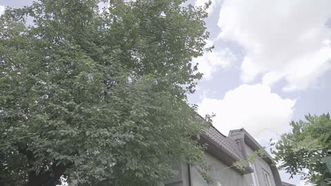 footages for video editing private house large brick with a large tree in the yard in Krasnodar