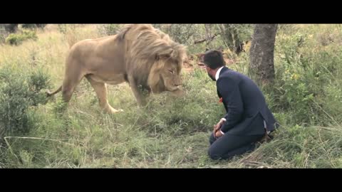 King off Animals Lion
