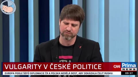 Vulgarity v České politice