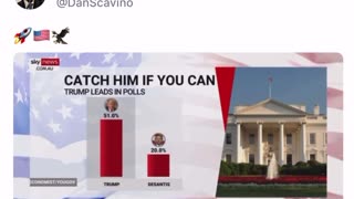 Dan Scavino