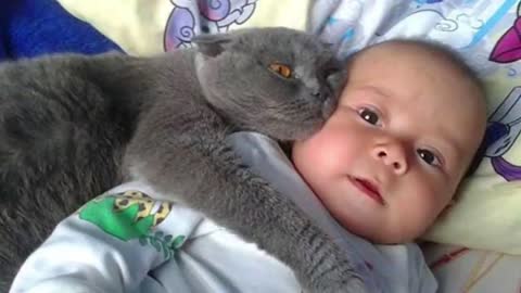 cute baby and a cat A baby and a cat play extremely funny
