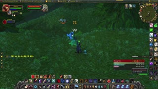 World of Warcraft Classic Hunter and Paladin running around doing some quests