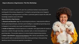 Steps to Become a Dog Groomer:-The Pets Workshop