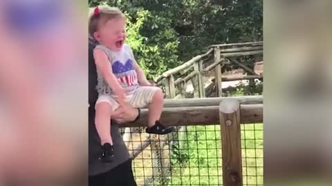 SO Funny Animals Trolling Babies