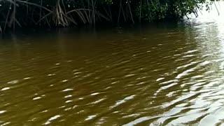 Fishing on the river