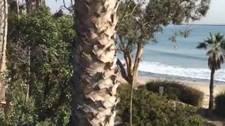 Guy in blue at beach with headset