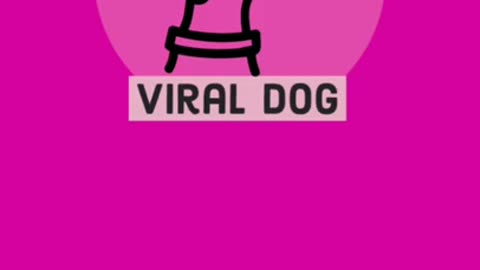 PERROS VIRALES de TIK TOK (2021) ❤️ BULL TERRIER