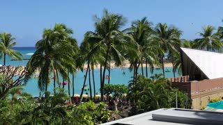 Tropical palm trees poolside ocean breeze Ilikai hotel, Waikiki