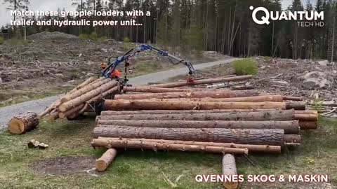 Amazing Extreme Tree Cutting Skills With Chainsaw And Heavy Logging Equipment