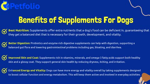 Buy Dog Supplements Singapore | Enhance Your Dog's Diet