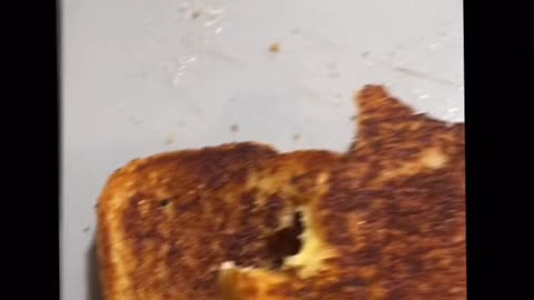 Grill cheese sandwiches