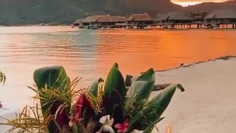 A party is being prepared on the beach under the sunset.