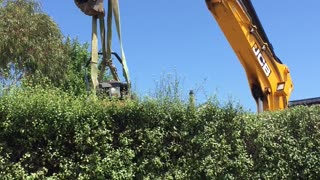 More Than One Way to Trim a Hedge