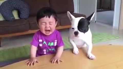 Funny videos 2021 most funny dog and kids videos 2021