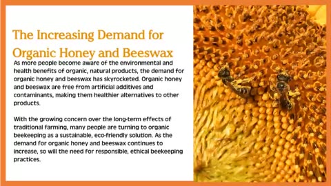 What is Organic Beekeeping