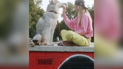 Happiest Dog playing with owner