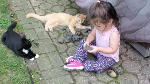 Adorable Toddler Plays With Very Intrigued Kittens