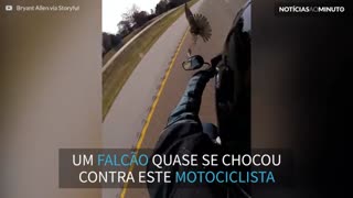 Motociclista em alta velocidade quase derruba falcão