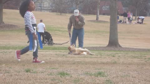 Lazy Dog Doesn't Want To Leave The Park !