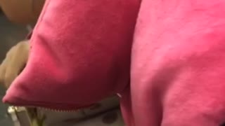 Girl pink sweaters eats food with cardboard