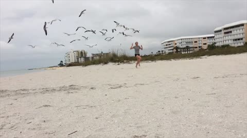 Girl Chased by Flock of Seagulls